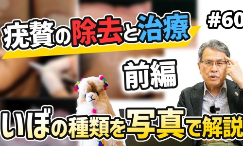 完美健扬的功效与作用-完美健扬的功效网 :分享完美健扬多少钱一瓶-完美健扬胶囊的功效和作用知识